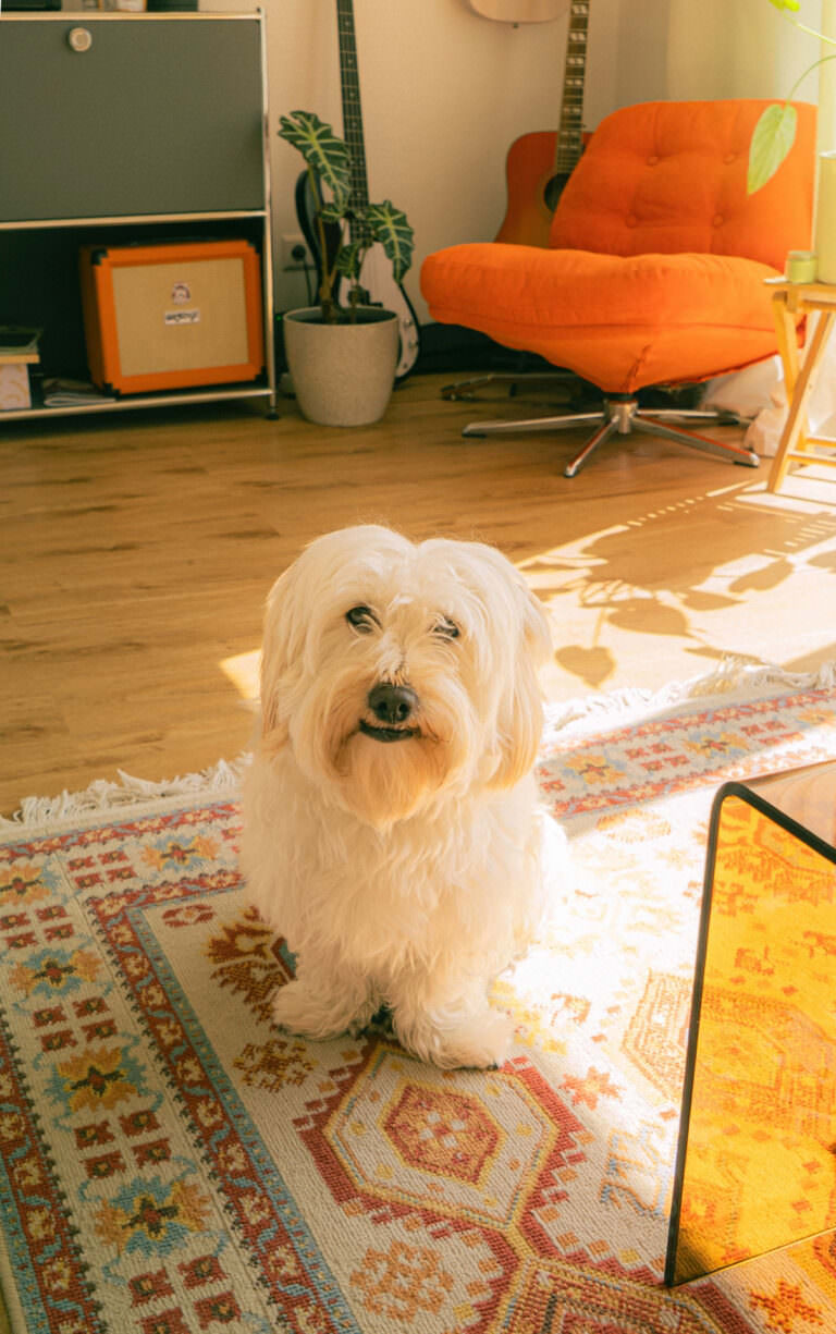 Portrait von Anton Einstein