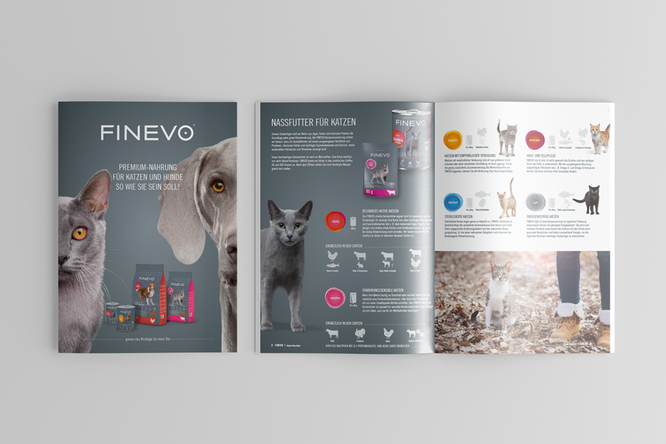 Finevo broschuere für Broschürendesign
